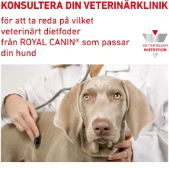 Royal Canin Veterinary Diets Dog Derma Sensitivity Control Chicken with Rice 12 x 410 g