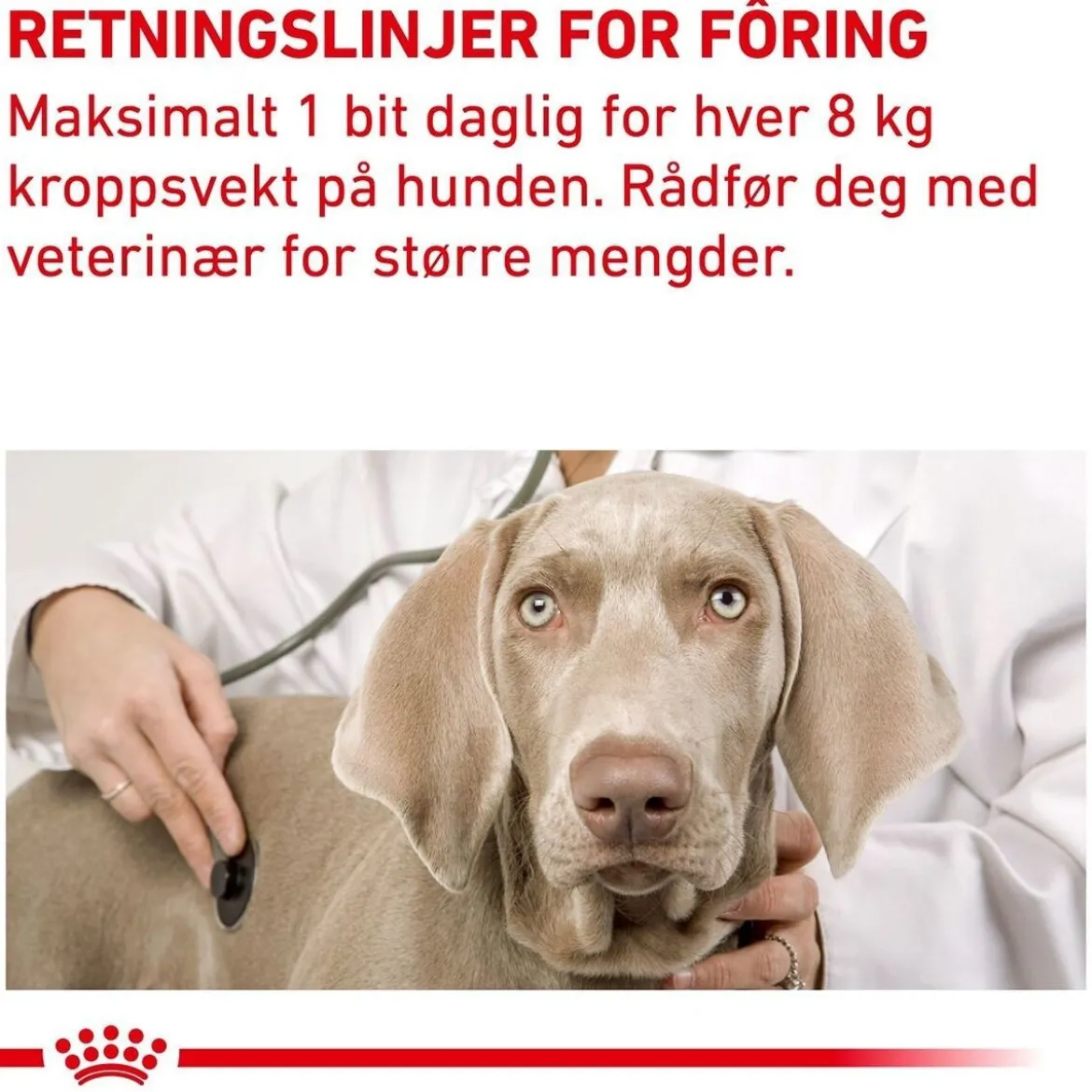 Royal Canin Veterinary Diets Dog Pill Assist Tablettgömma för hund M/L