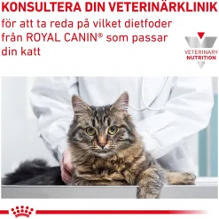Royal Canin Veterinary Diets Cat Gastrointestinal Moderate Calorie 12x85 g