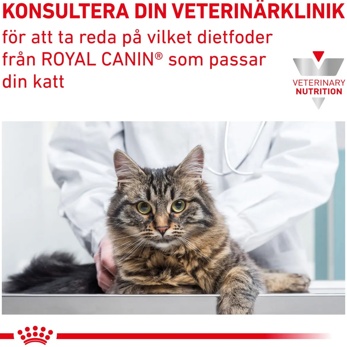 Royal Canin Veterinary Diets Cat Gastrointestinal Moderate Calorie 12x85 g