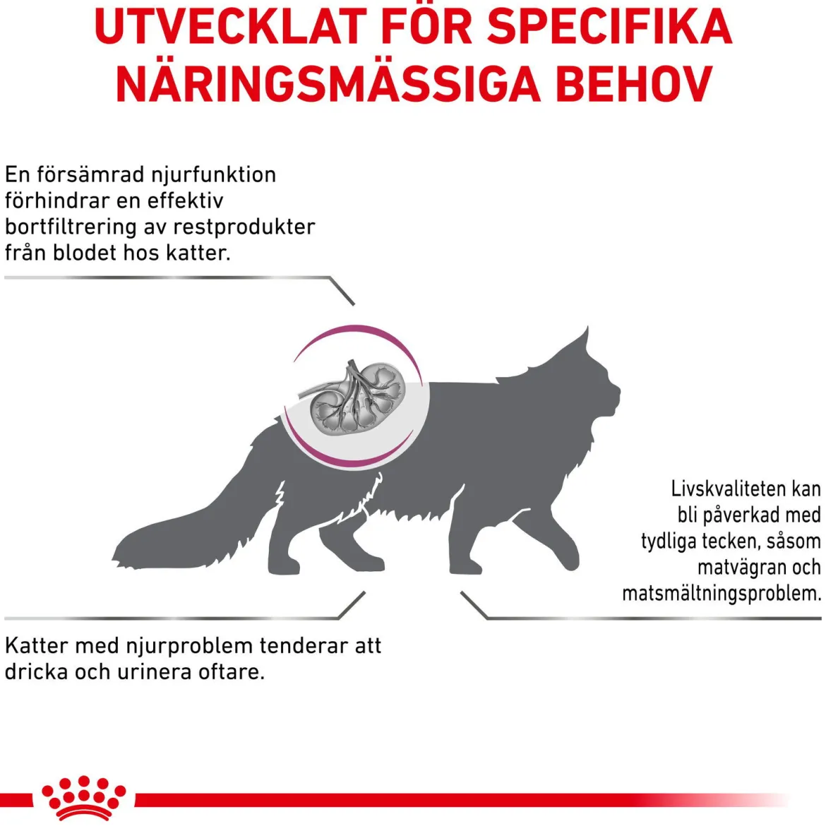 Royal Canin Veterinary Diets Cat Renal Select