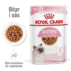 Royal Canin Wet Kitten in Gravy (12x85g)