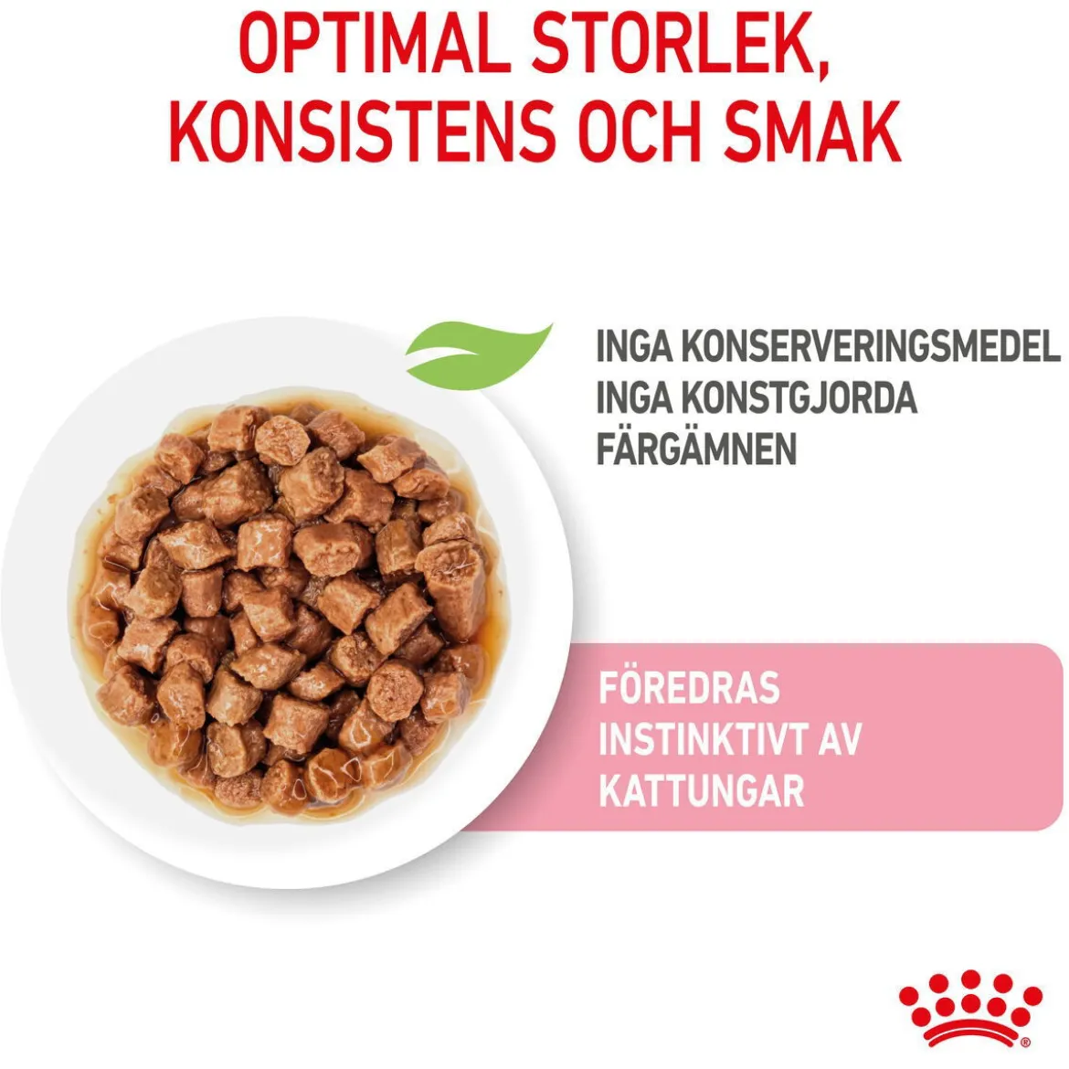Royal Canin Wet Kitten in Gravy (12x85g)