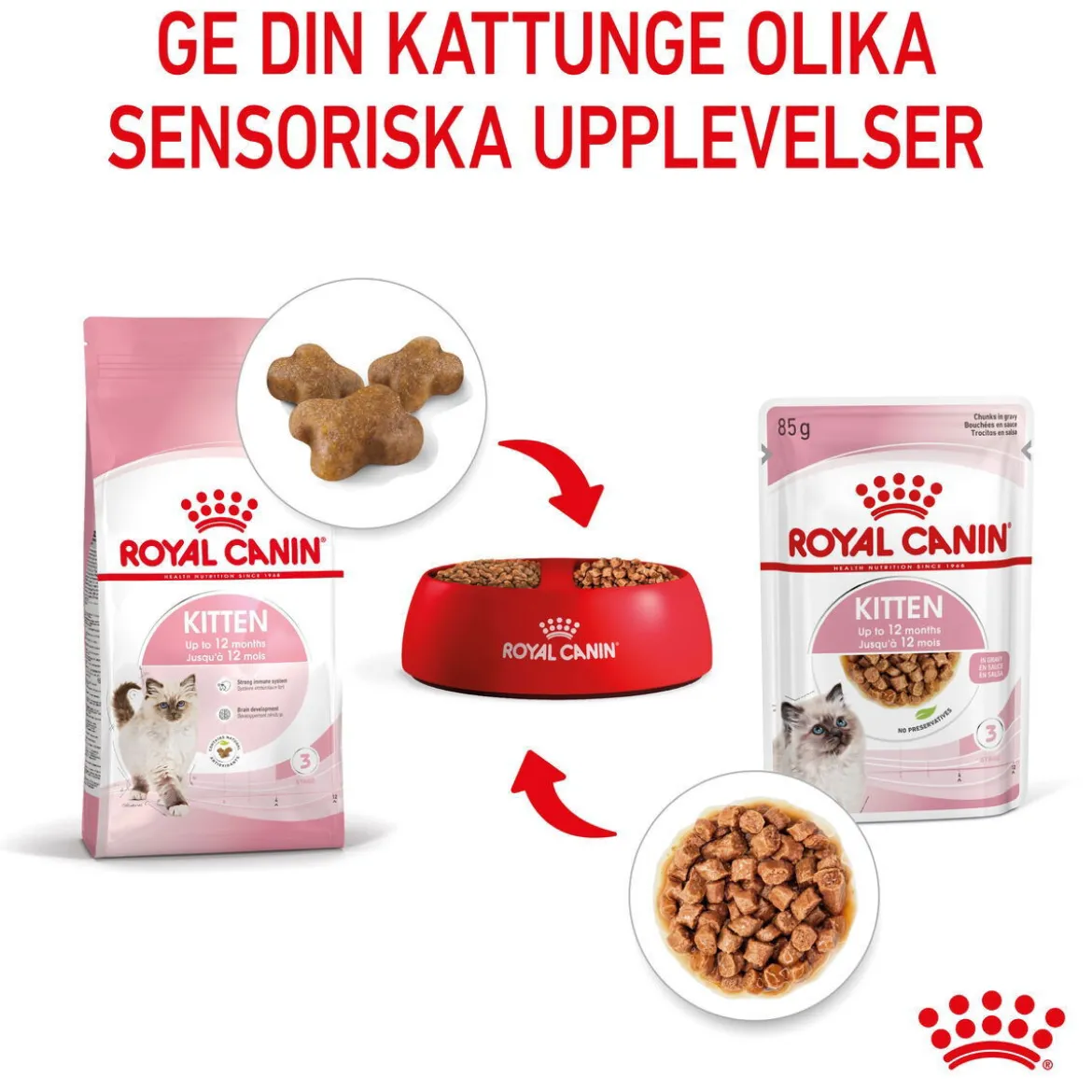 Royal Canin Wet Kitten in Gravy (12x85g)