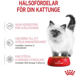 Royal Canin Wet Kitten in Gravy (12x85g)
