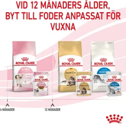 Royal Canin Wet Kitten in Gravy (12x85g)