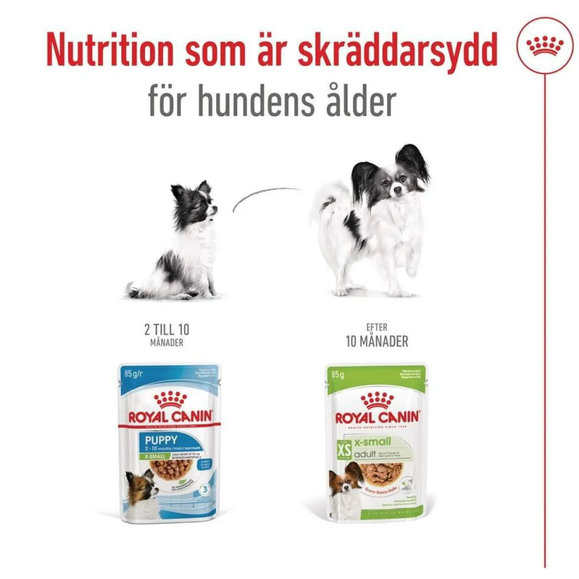 Royal Canin X-small Adult 12x85g