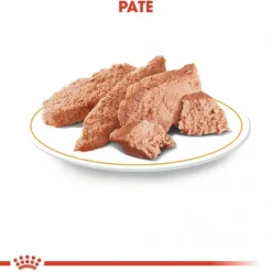 Royal Canin Yorkshire Terrier Wet (12x85g)