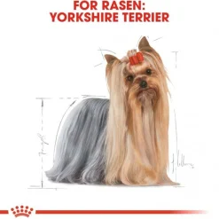 Royal Canin Yorkshire Terrier Wet (12x85g)