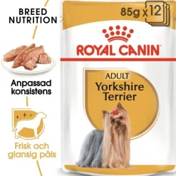 Royal Canin Yorkshire Terrier Wet (12x85g)