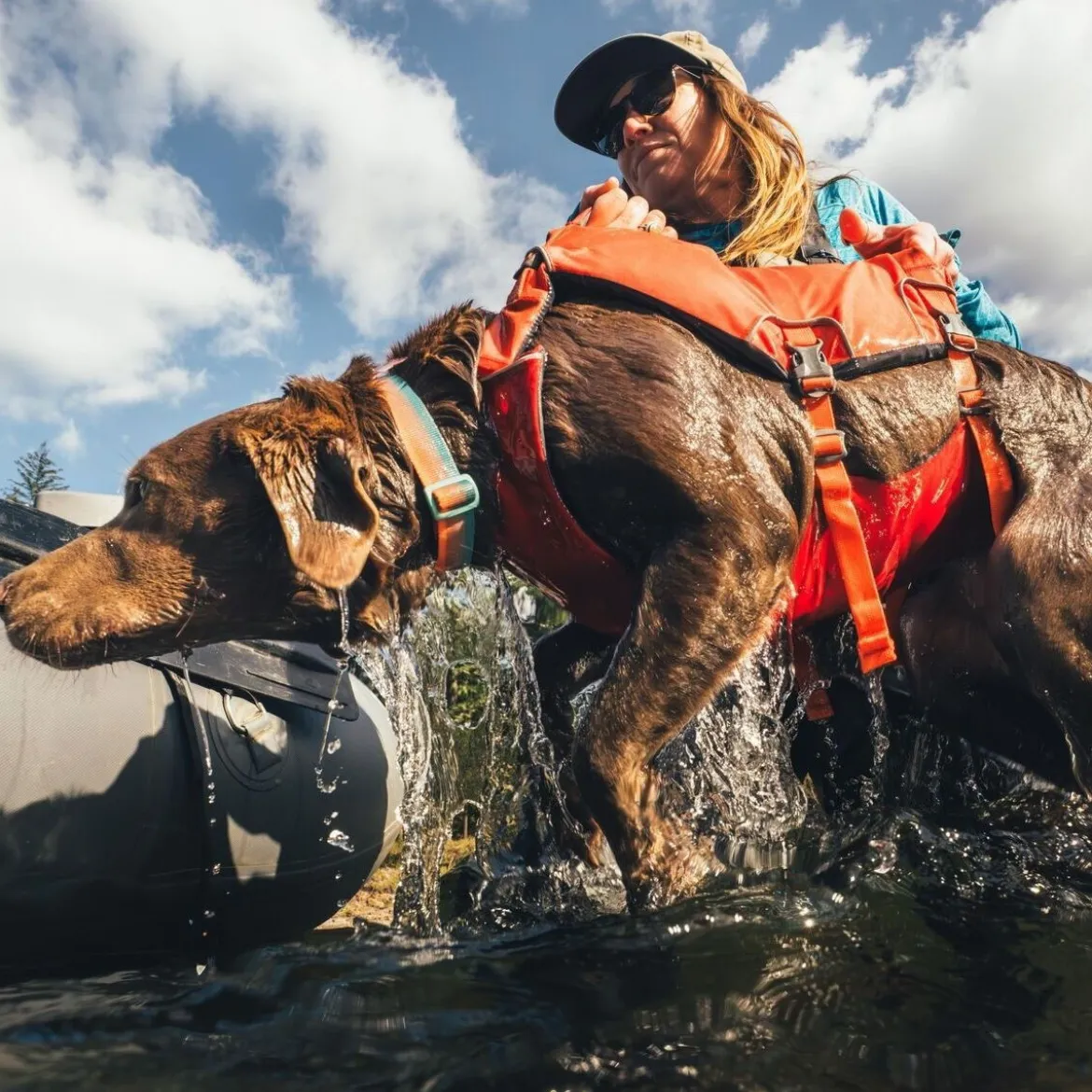 Ruffwear Confluence Hundflytväst Orange