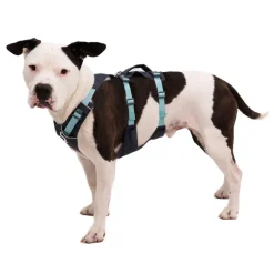 Ruffwear Flagline Hundsele Grå/Turkos