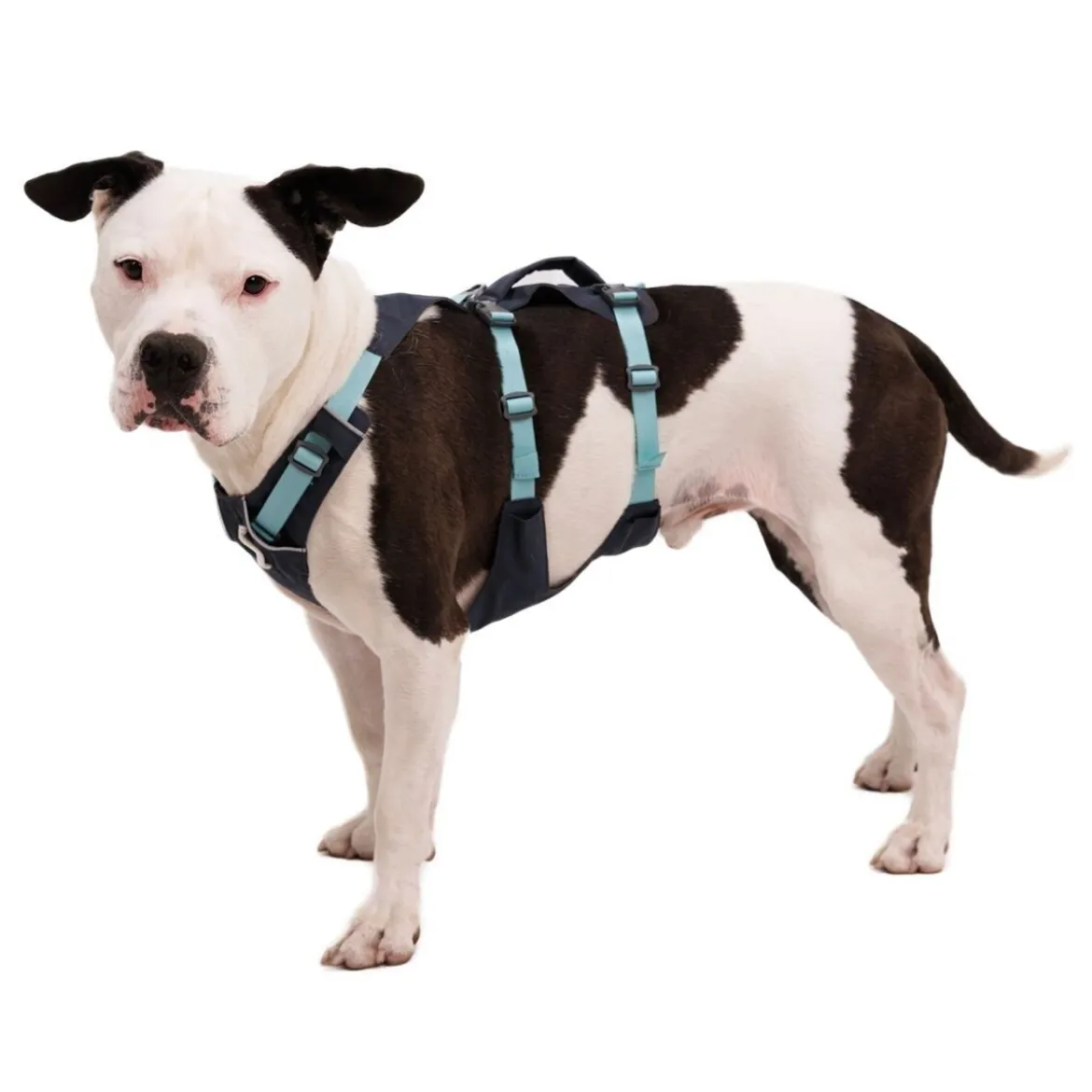 Ruffwear Flagline Hundsele Grå/Turkos