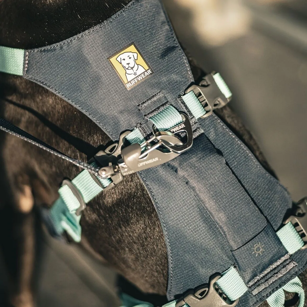 Ruffwear Flagline Hundsele Grå/Turkos