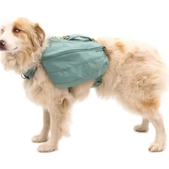 Ruffwear Front Range Daypack Klövjeväska Grön