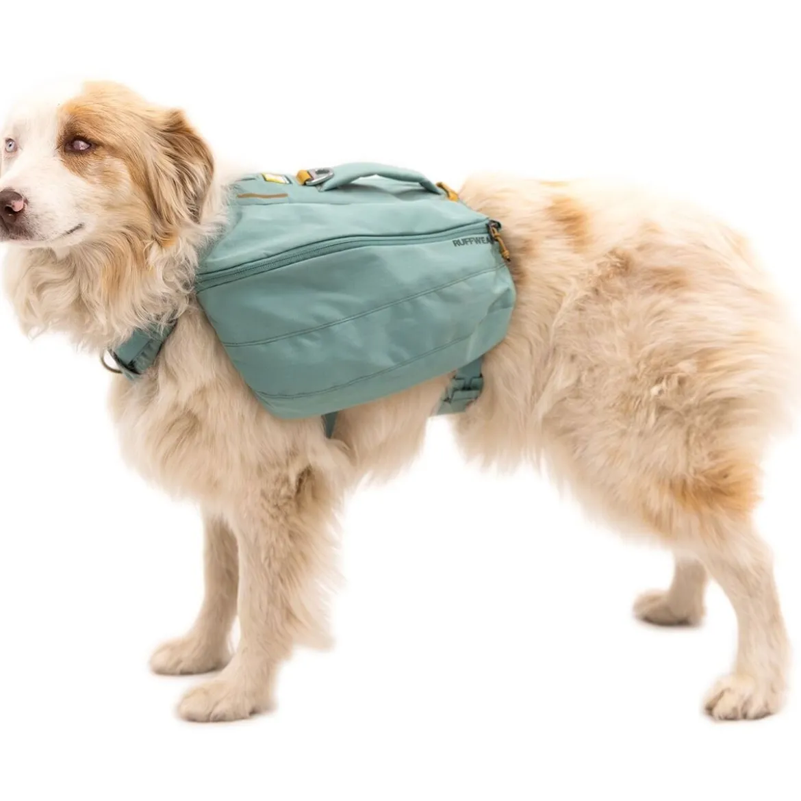 Ruffwear Front Range Daypack Klövjeväska Grön