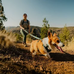 Ruffwear Front Range Flex Hundkoppel 150 cm