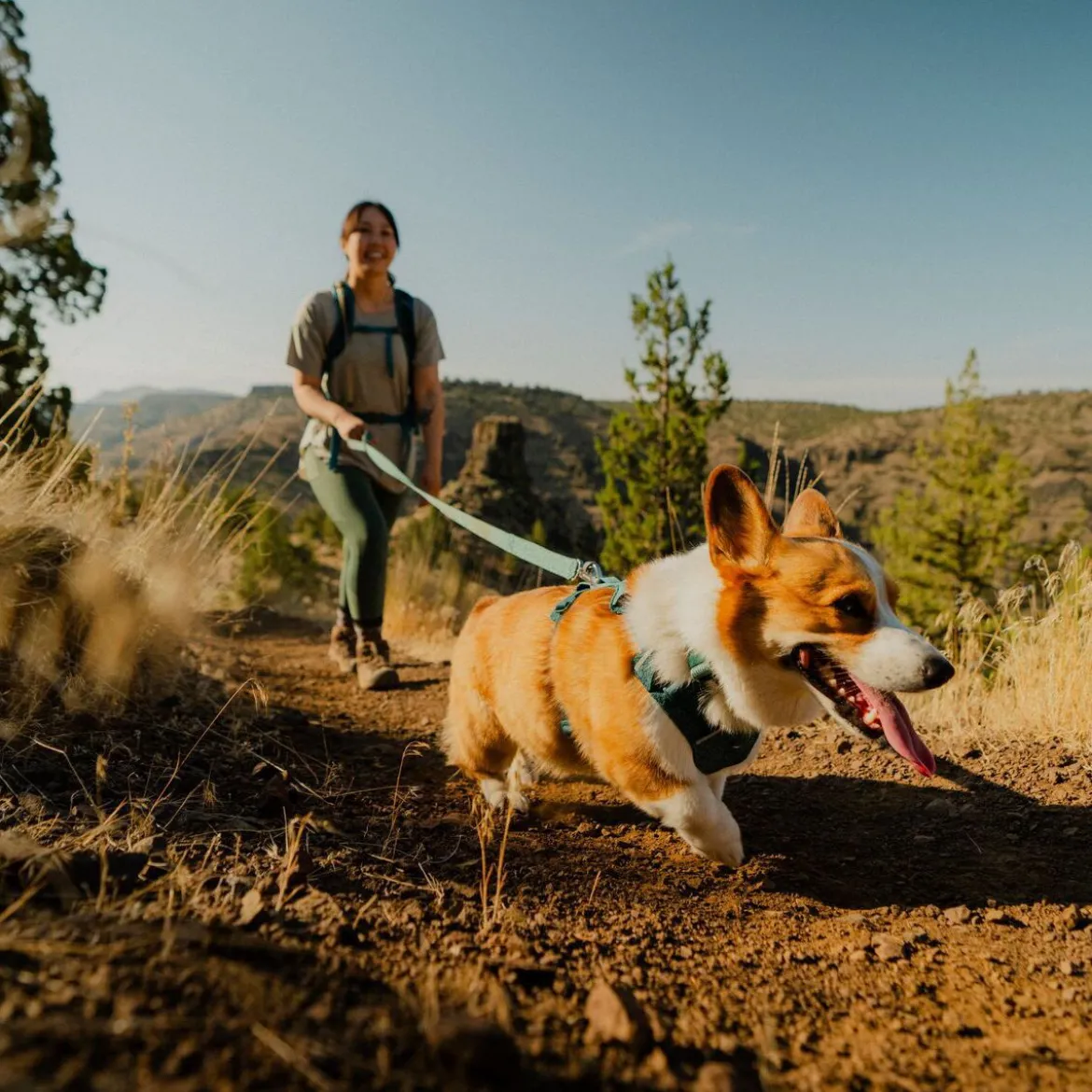 Ruffwear Front Range Flex Hundkoppel 150 cm