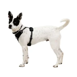 Ruffwear Front Range Flex Hundsele Grå