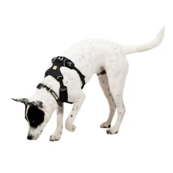 Ruffwear Front Range Flex Hundsele Grå