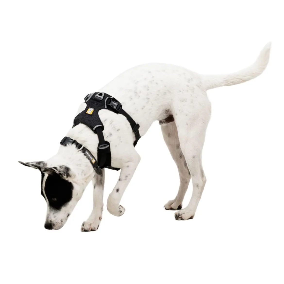 Ruffwear Front Range Flex Hundsele Grå
