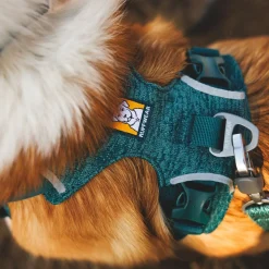 Ruffwear Front Range Flex Hundsele Turkos