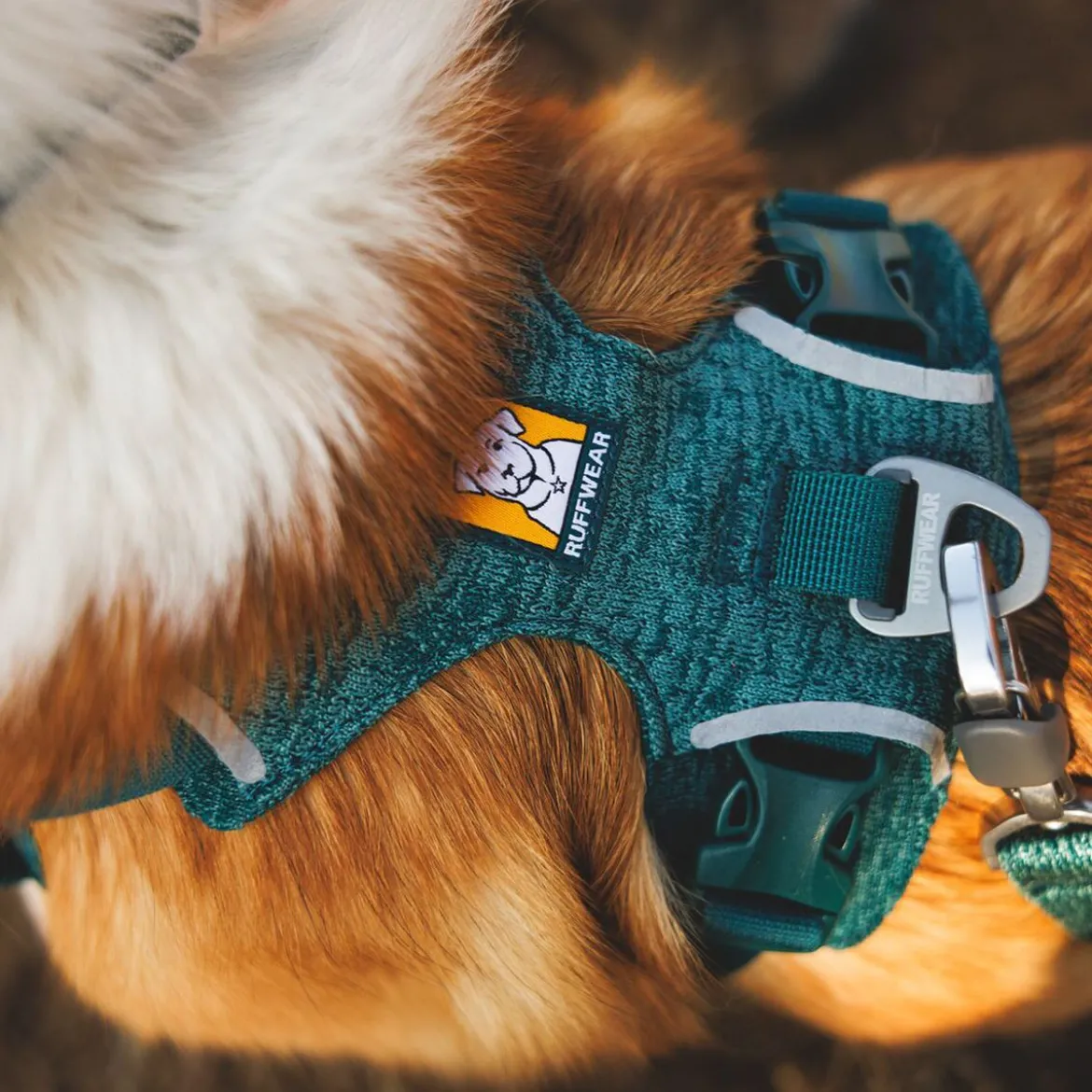 Ruffwear Front Range Flex Hundsele Turkos