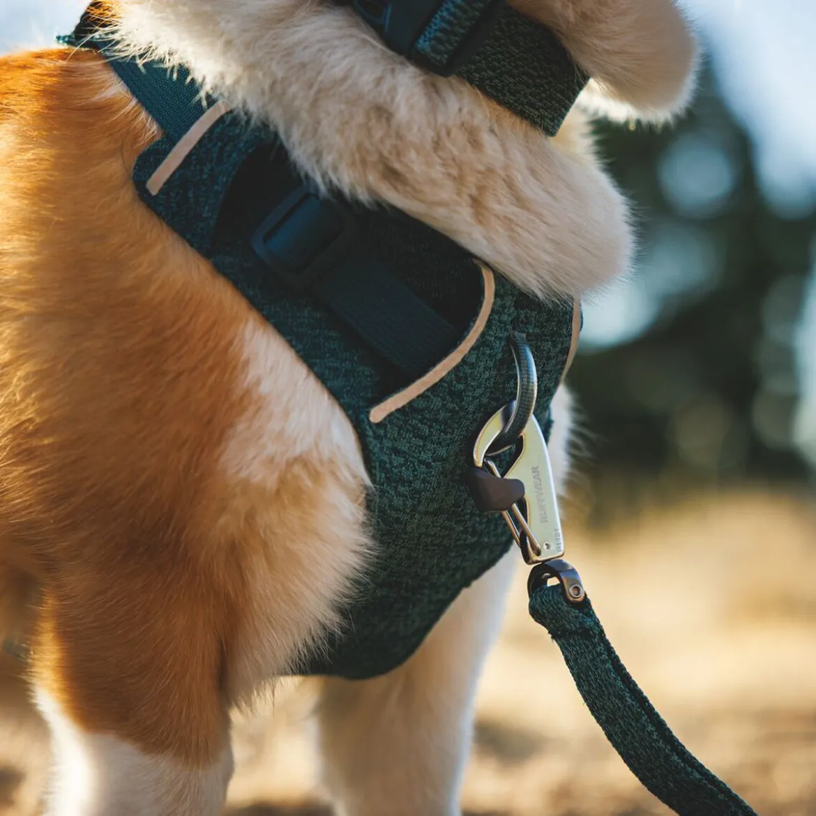 Ruffwear Front Range Flex Hundsele Turkos