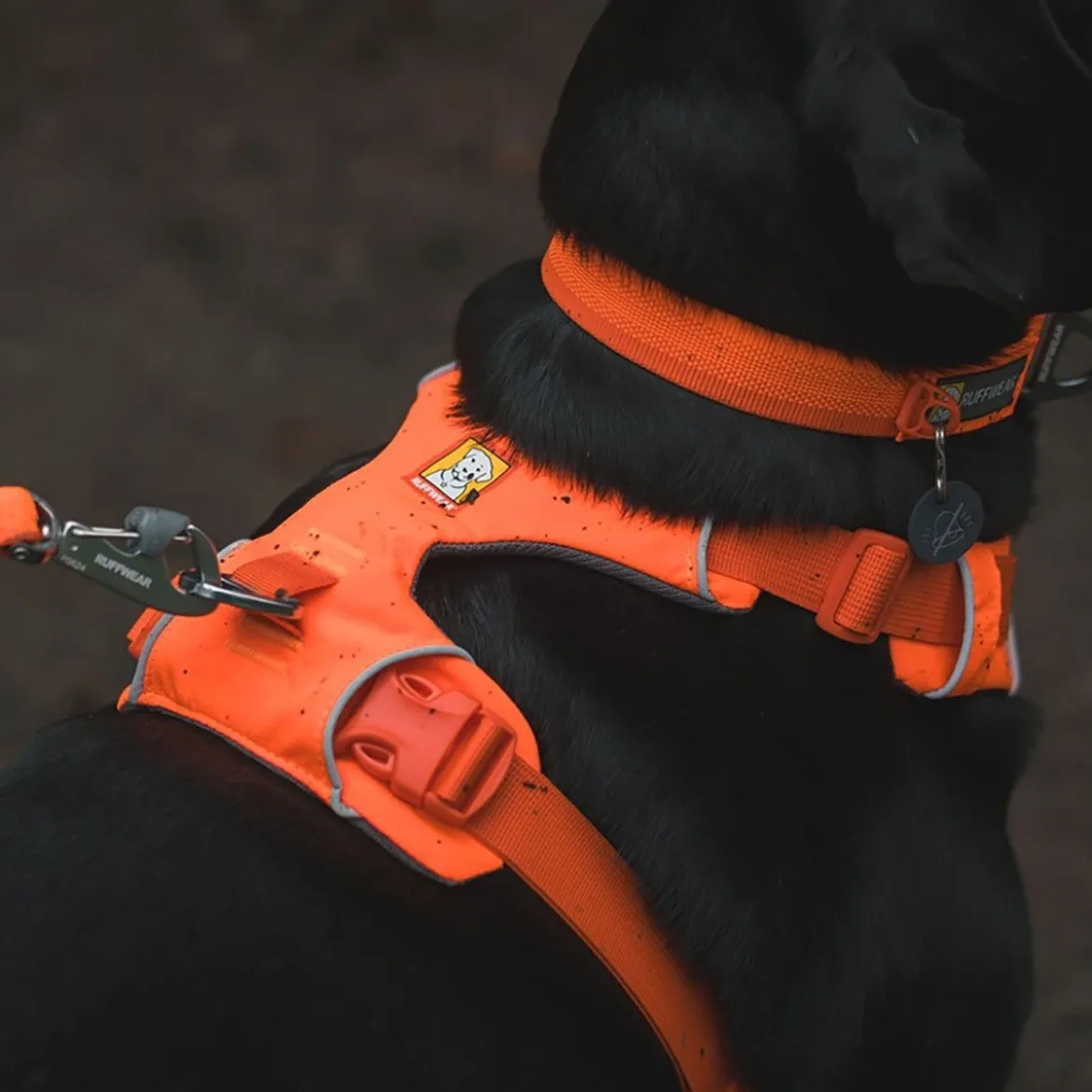 Ruffwear Front Range Hundsele Orange