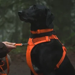 Ruffwear Front Range Hundsele Orange