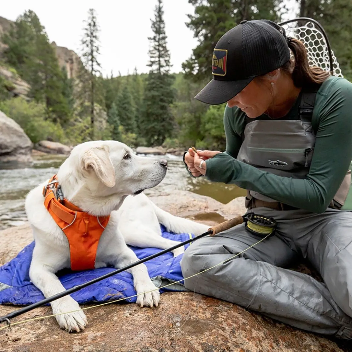 Ruffwear Front Range Hundsele Orange