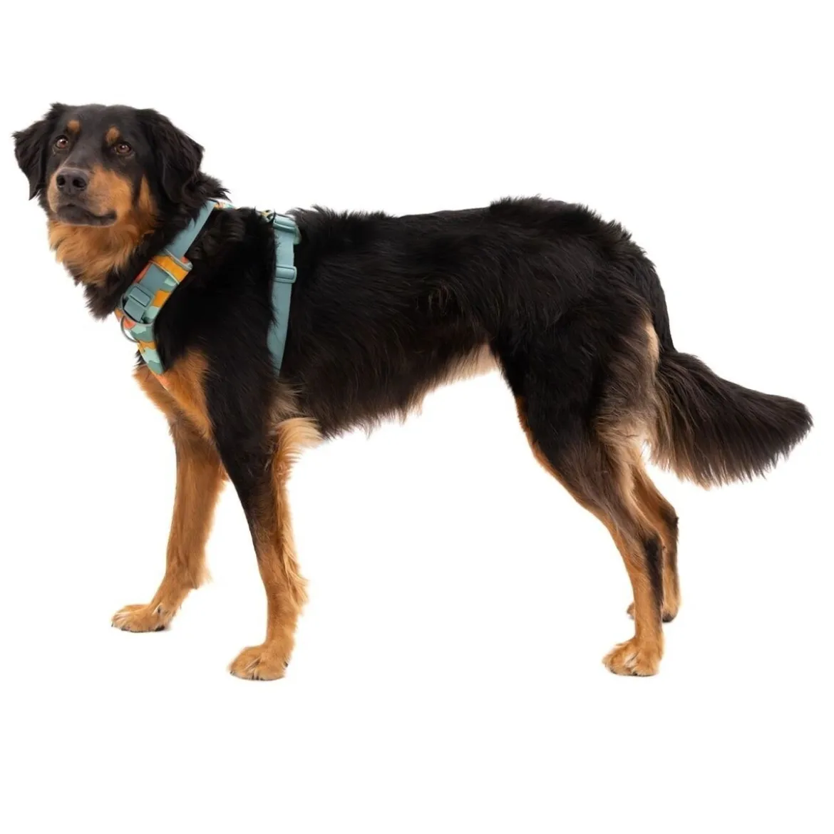 Ruffwear Front Range Hundsele Grön/Orange