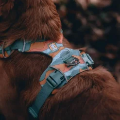 Ruffwear Front Range Hundsele Grön/Orange