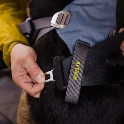 Ruffwear Load Up Hundsele Blå