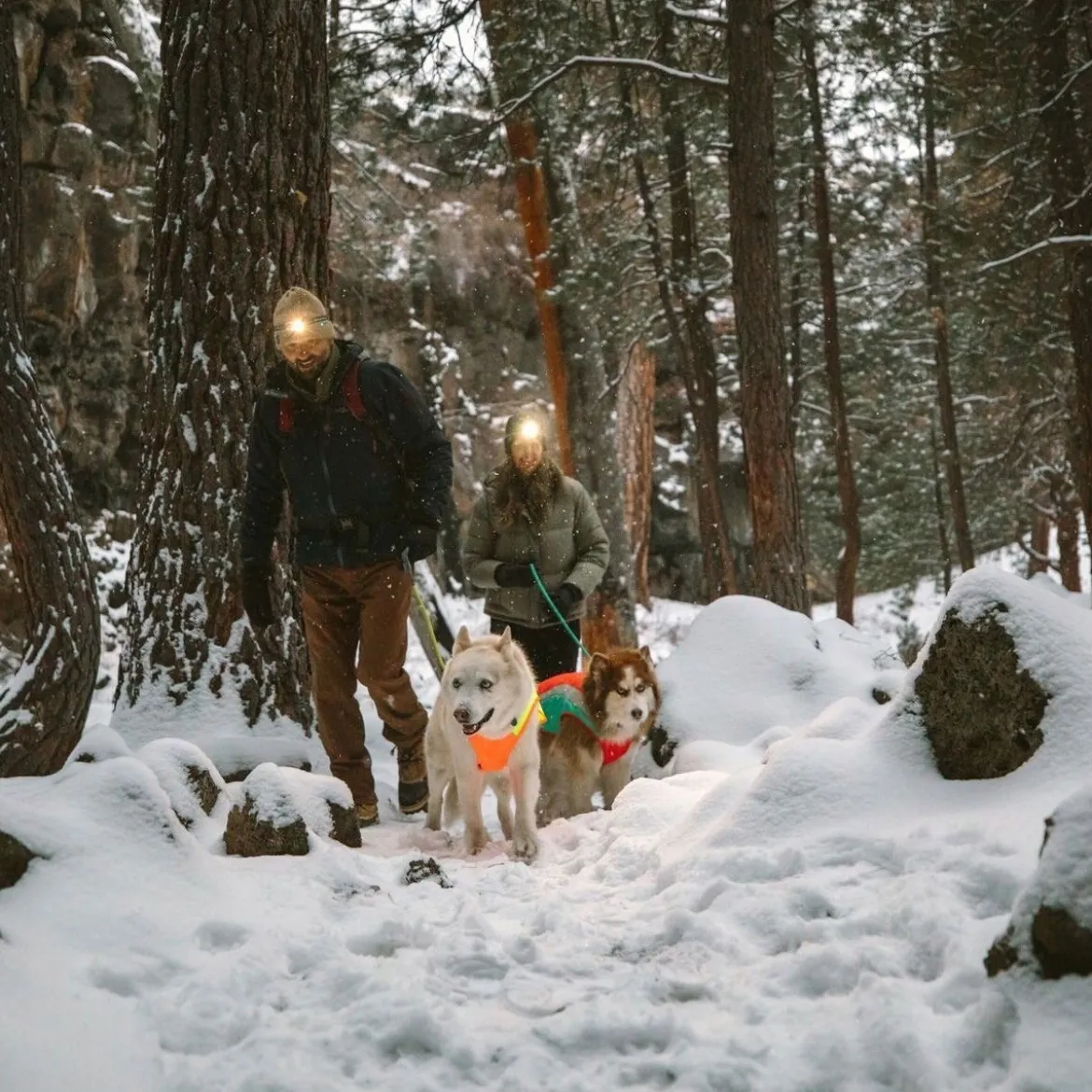 Ruffwear Lumenglow High-Visibility Hundjacka med Reflexdetaljer Orange/Gul