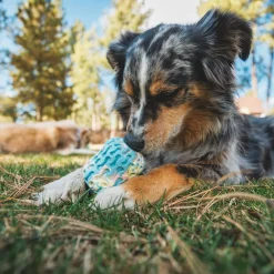 Ruffwear Morel Aktiveringsleksak