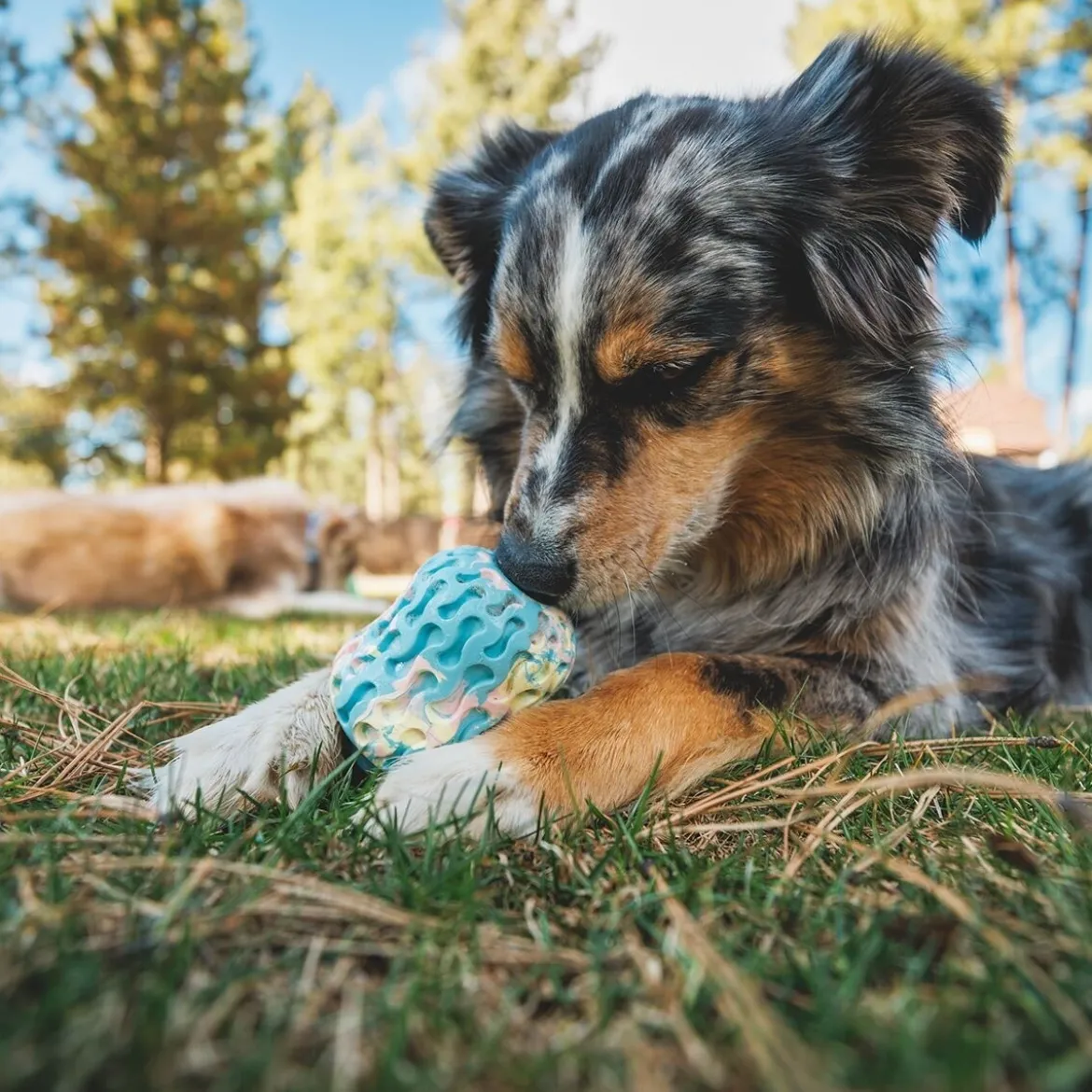 Ruffwear Morel Aktiveringsleksak
