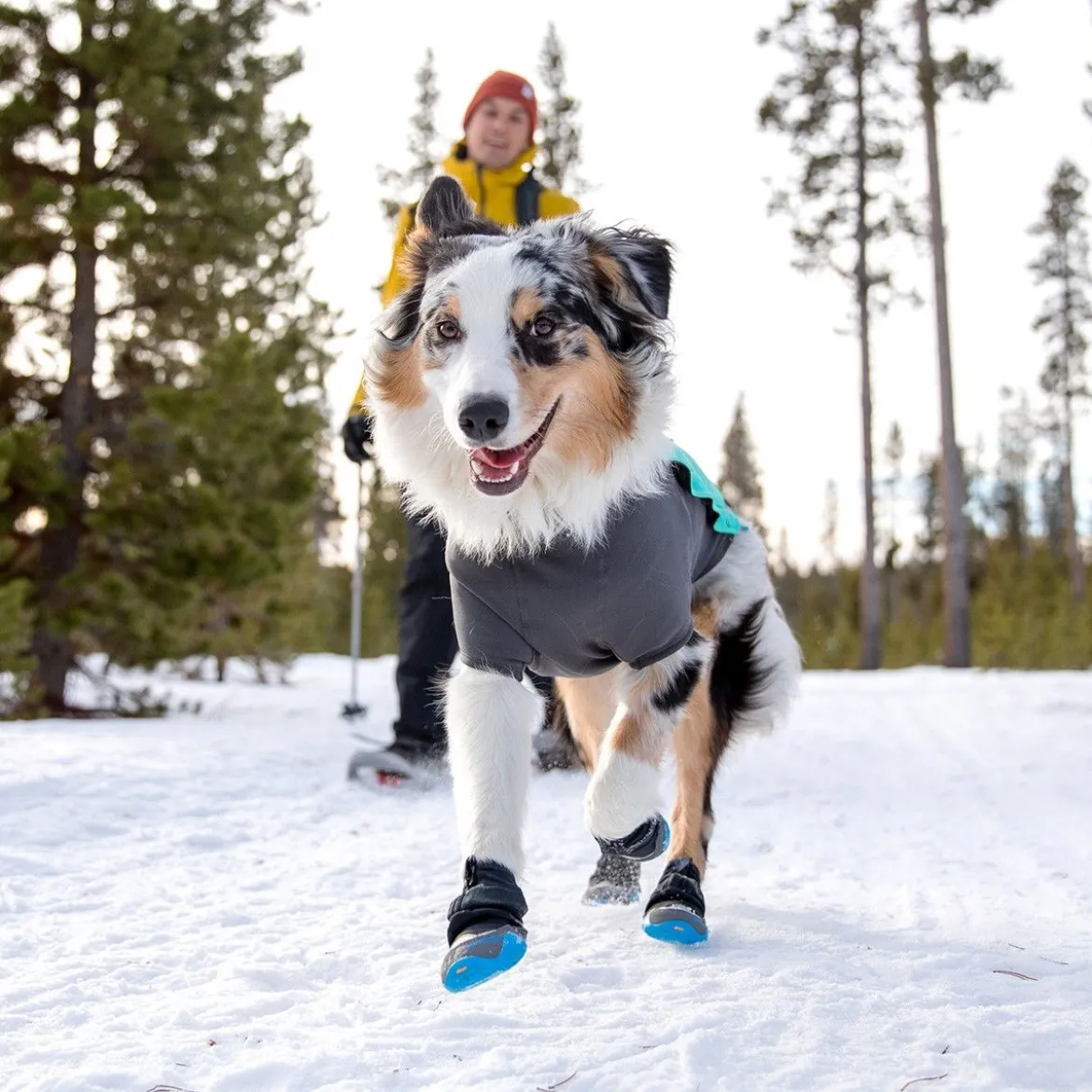 Ruffwear Polar Trex Hundskor 2-pack Blå
