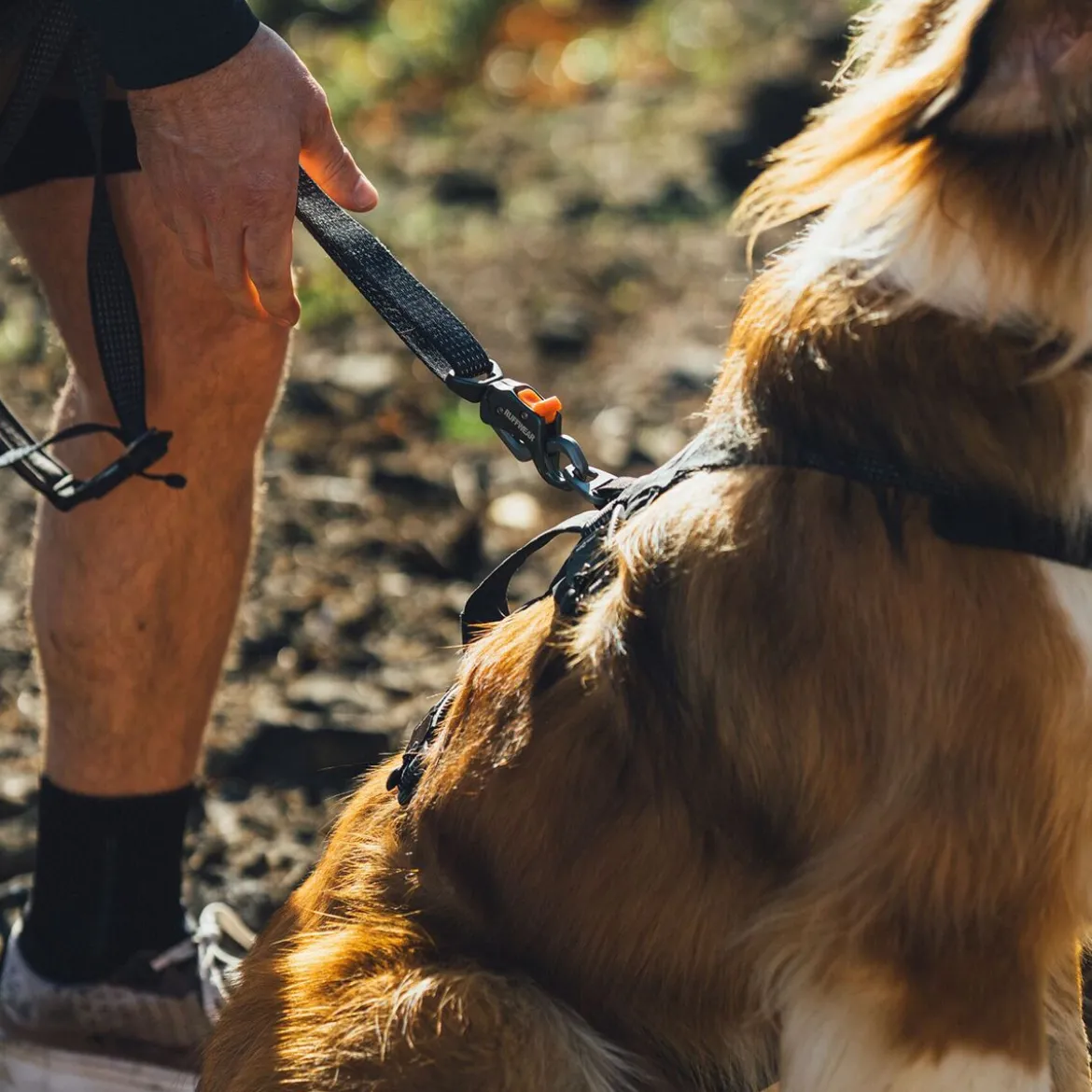 Ruffwear Ridgeline Hundkoppel Svart 120-200 cm