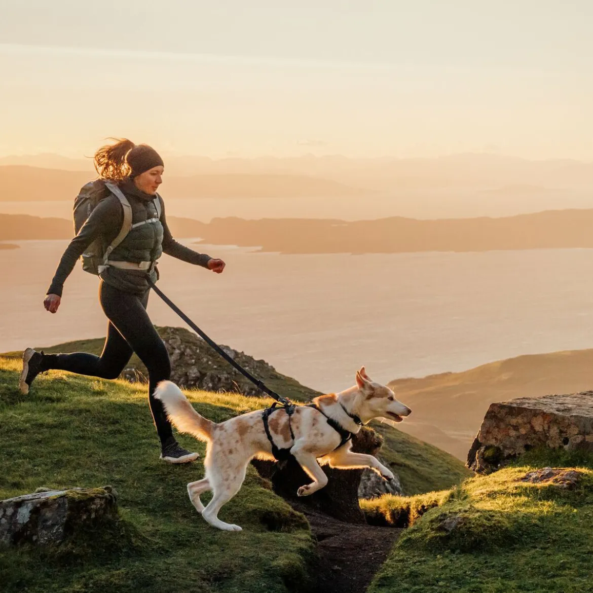 Ruffwear Ridgeline Hundkoppel Svart 120-200 cm