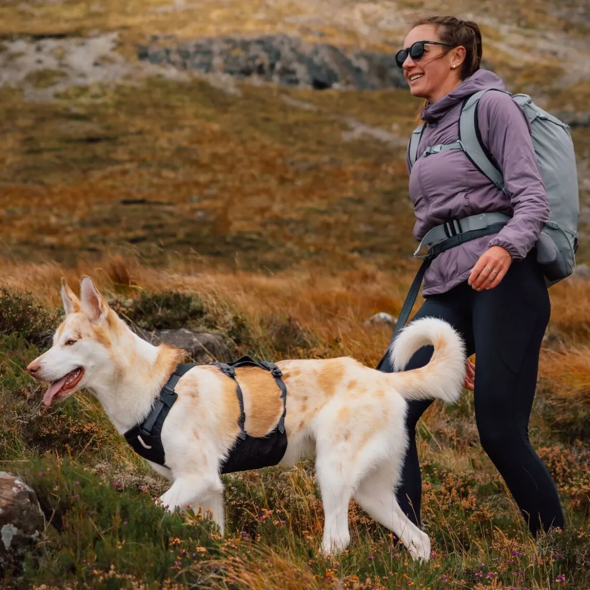 Ruffwear Ridgeline Hundkoppel Svart 120-200 cm