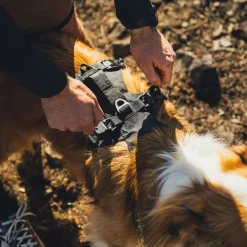 Ruffwear Ridgeline Hundsele Svart