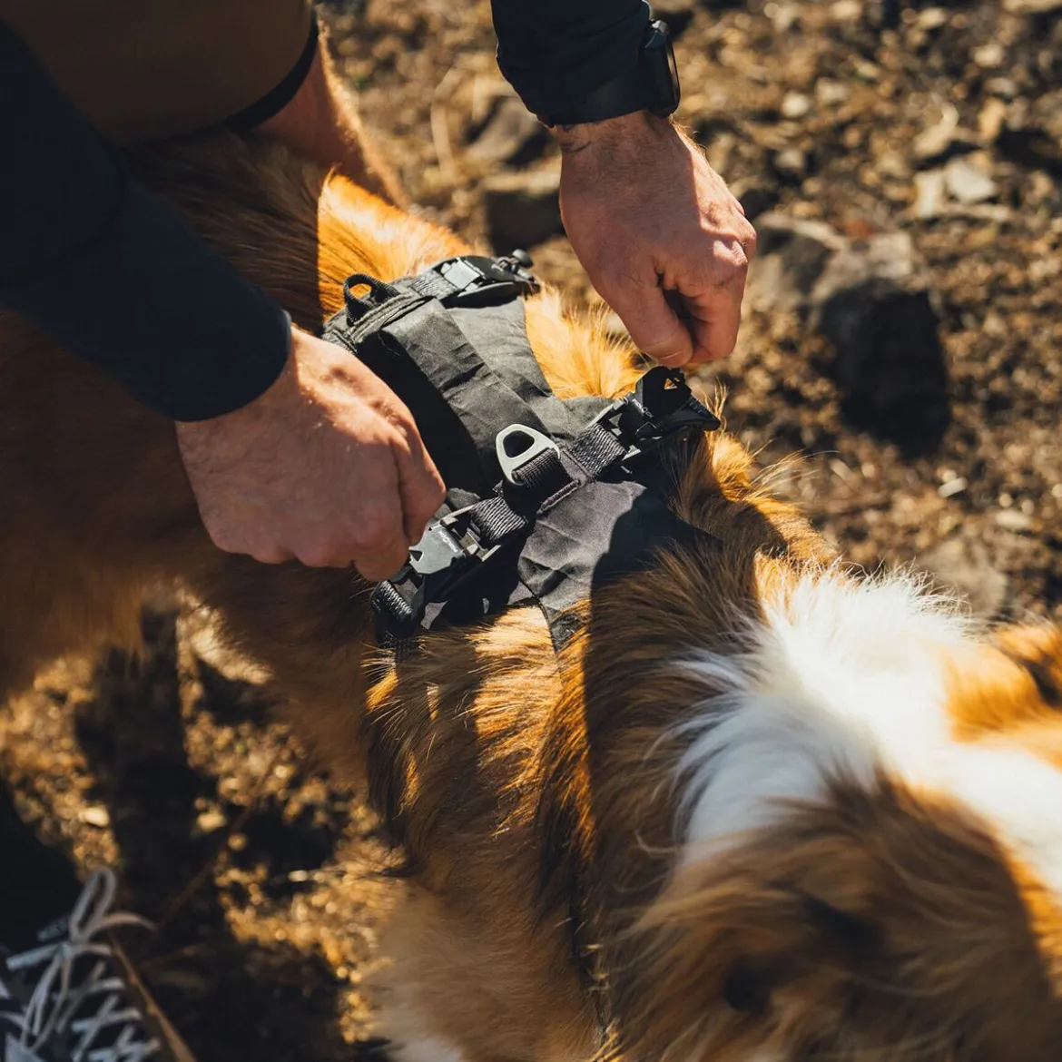 Ruffwear Ridgeline Hundsele Svart