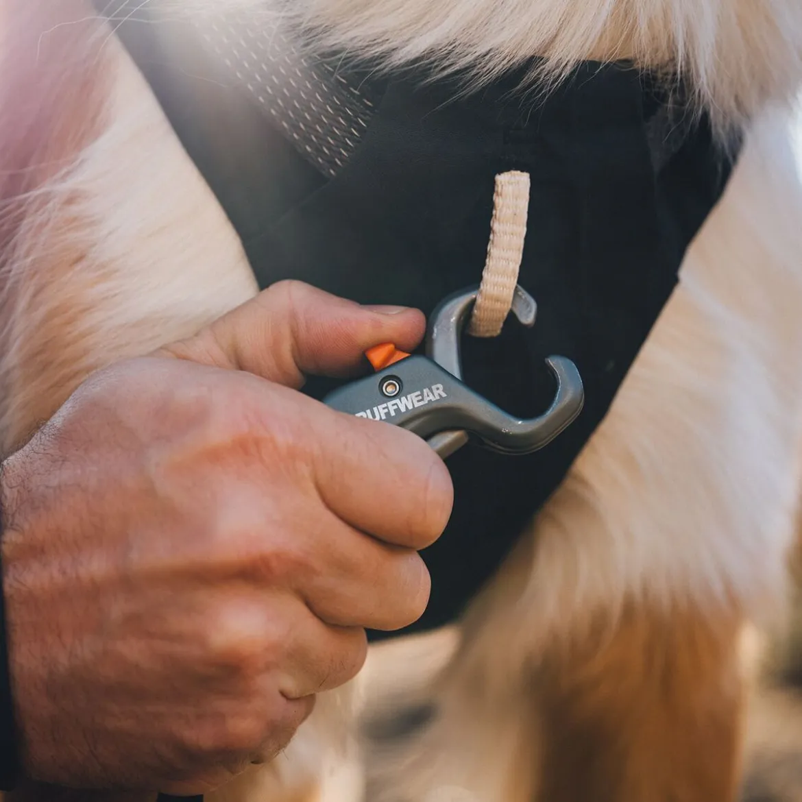 Ruffwear Ridgeline Hundsele Svart