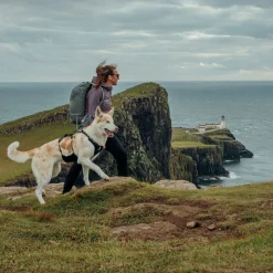 Ruffwear Ridgeline Hundsele Svart