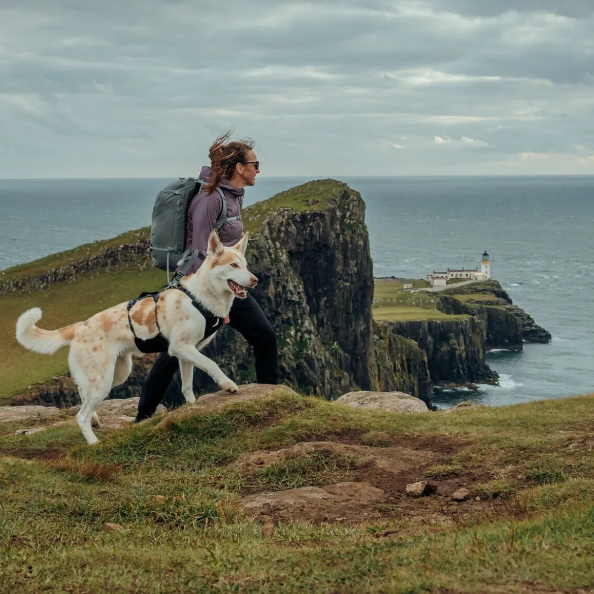 Ruffwear Ridgeline Hundsele Svart