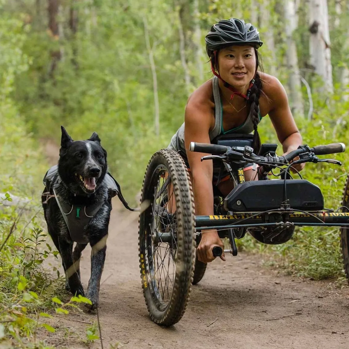 RuffWear Roamer Expanderkoppel Grå