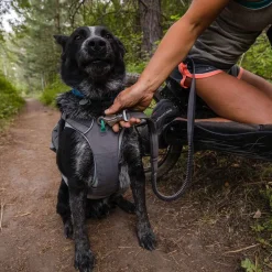 RuffWear Roamer Expanderkoppel Grå