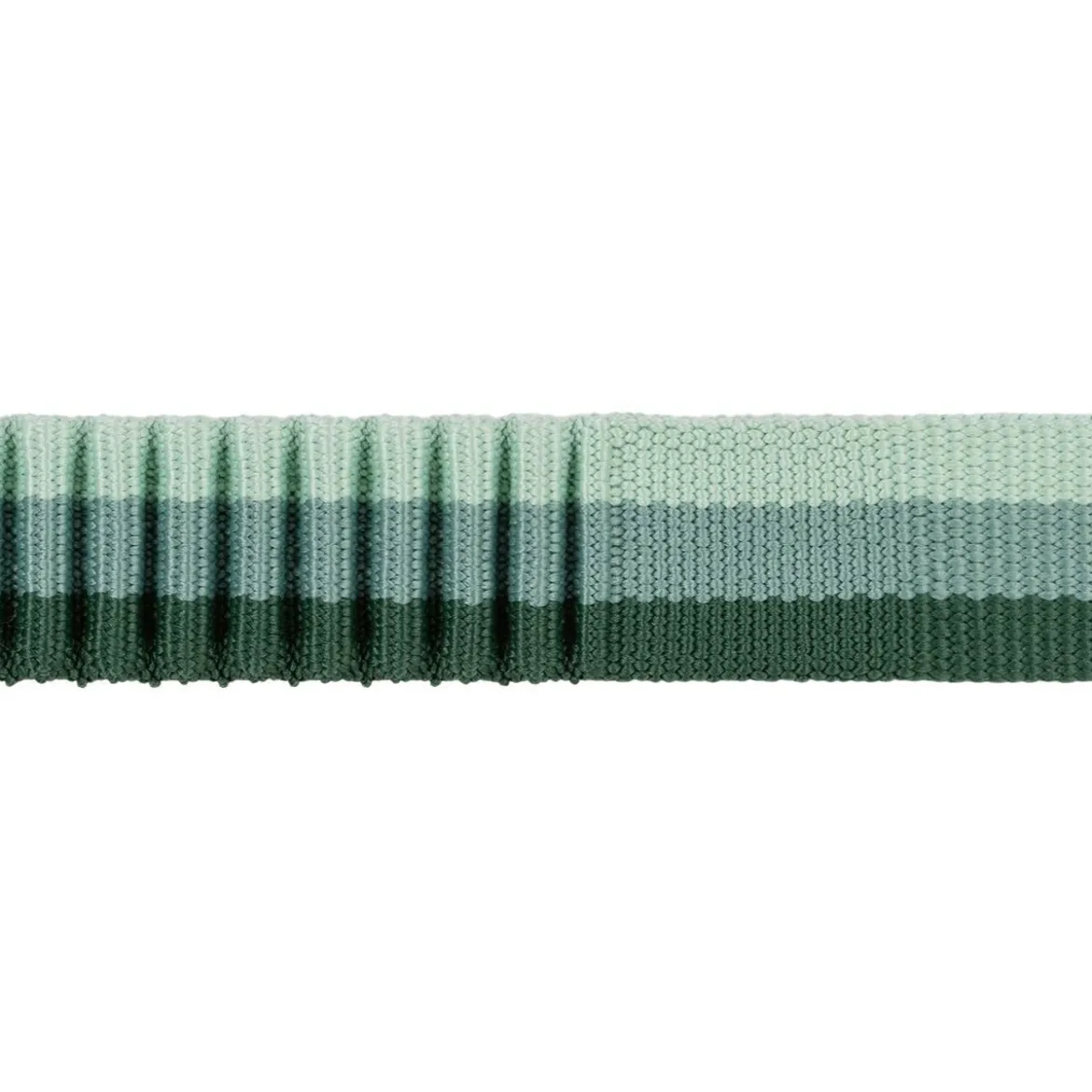 Ruffwear Roamer Hundkoppel Grön