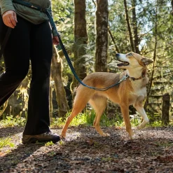 Ruffwear Roamer Hundkoppel Grön